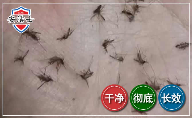 乐东蚊子防治-灭蚊