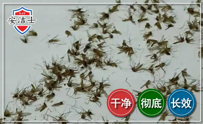 乐东苍蝇防治-灭蝇