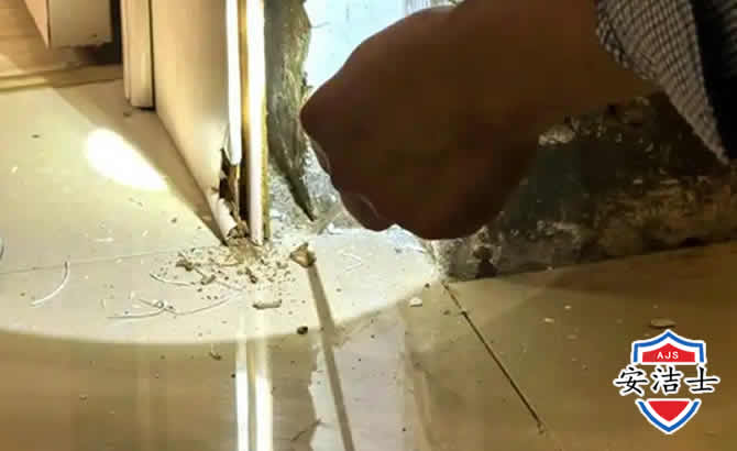 乐东房屋建筑防治白蚁