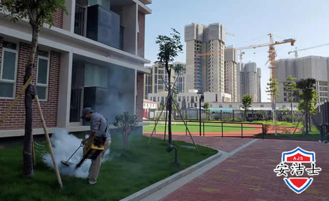 乐东工厂工地除白蚁