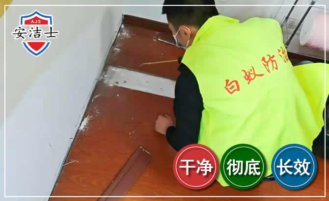 乐东除四害现场