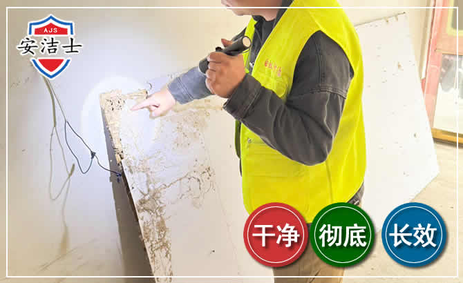 乐东除白蚁现场