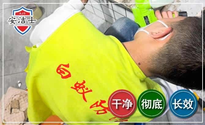 乐东白蚁根治现场